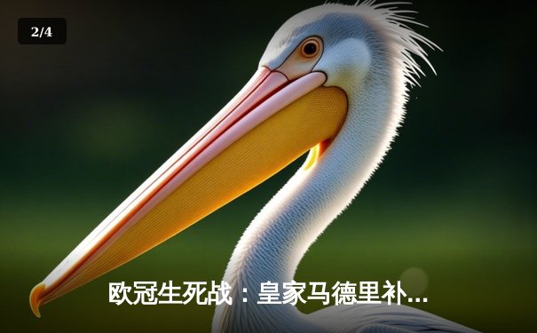 欧冠生死战：皇家马德里补时绝平拜仁慕尼黑，总比分4-3惊险晋级决赛 - 2